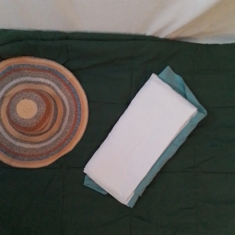 Brylane Home Twin Green Comforter and Bedskirt Set